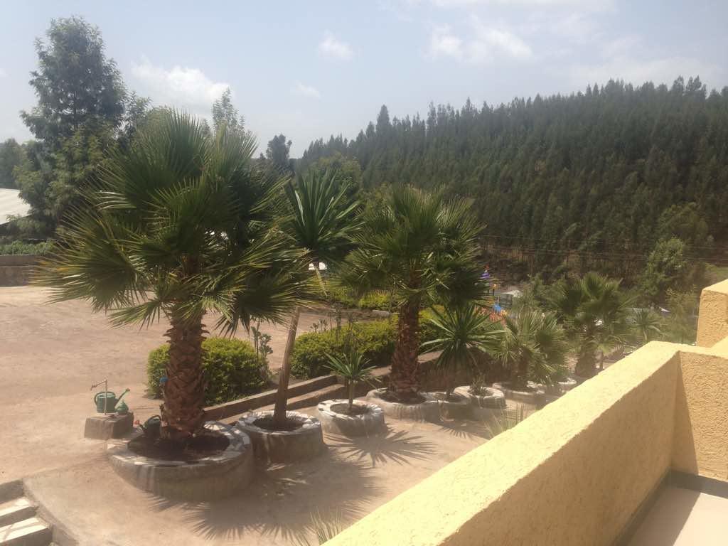 Joamla Hotel Desē Dış mekan fotoğraf